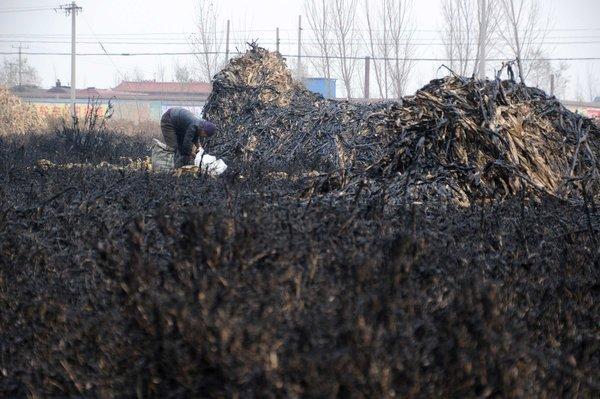 山东滨州废弃油井井喷 致几十亩土地变黑