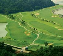 江阴占用国家森林公园建高尔夫球场