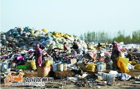 徐州开发区被举报麦田空地分拣垃圾 污染严重（组图）