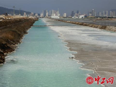 污染快照：连云港碱厂黄海边筑起超大“牛奶湖”