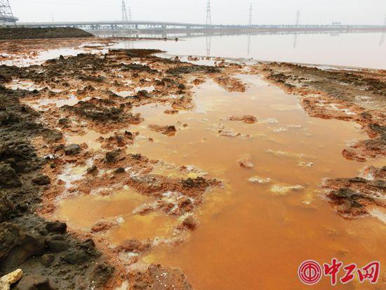 环“橙汁湖”绕行，发现废水已明显沉降下渗。图为“橙汁湖”一角下渗露头的被烧焦土壤。