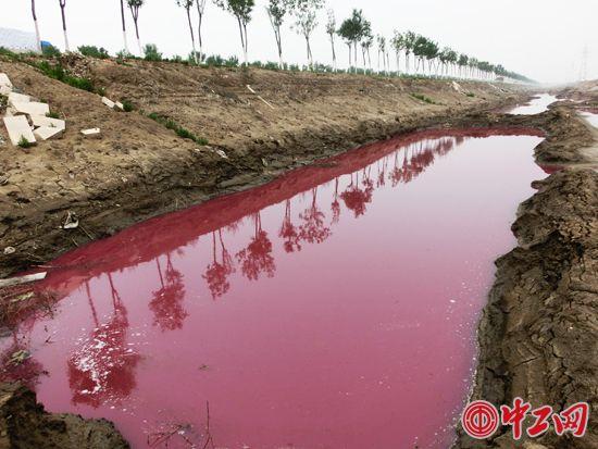 在S124省道边的河沟里，还可见到紫红色、黑色污水，是否“橙汁湖”溢出?无从考证。