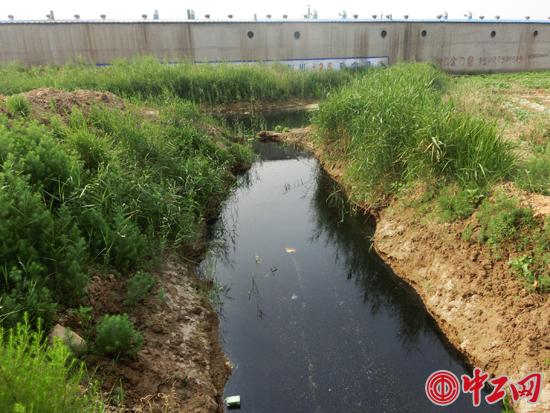 山东滨州：“凤凰”工业污水直排基本农田无人管