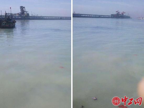 网友网络连线上传秦港区海域污染实时画面，两张图片取景点均为海警码头。