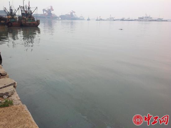 ６月２１日１７时许，现场拍摄取证的秦港区海域污染实时画面，取景点与网友角度一致。
