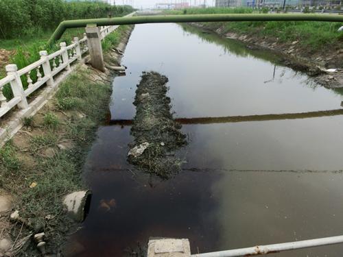 剧毒污水排灌河 连云港化工园污染惯性刹车难