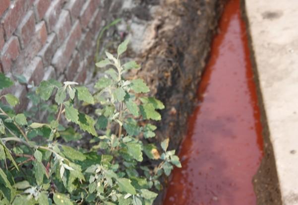 河北藁城：村内条条红色小溪流淌 众多食品厂让百姓遭殃