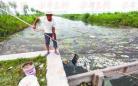 山东莱西两万条鱼死亡 养殖户怀疑河水被污染