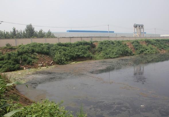 河北安平：天泽金属涉嫌污水直排