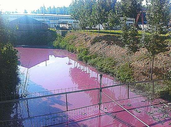 红色的污水充满了整个坑塘