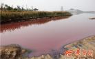高清组图：陕西卤阳湖变恶臭“红豆汤” 工业废水排污严重