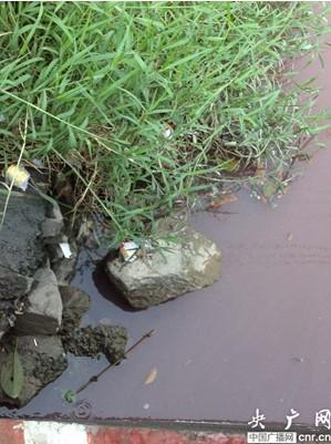 广州又现"变色河涌"全市河涌水质超七成未达标