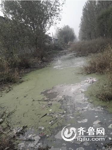 济宁鱼台“可乐河”百日整治无进展 环保部门遭遇治理难题