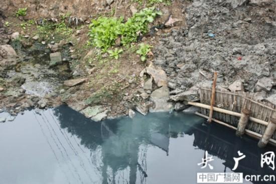 温州黑臭河水排入瓯江 环保部门回应：自净能力强