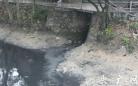 温州黑臭河水排入瓯江 环保部门回应：自净能力强（图）
