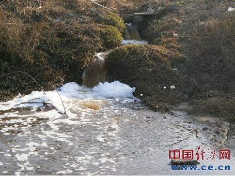 安徽金禾实业被指污水直排 “母亲河”变成“黑河”(组图)