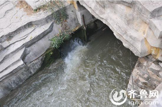 济南趵突泉公园泉水河道被污染 三天未找到污染源（组图）