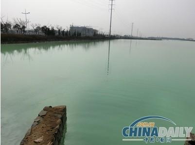 连云港碱厂明排污水15年不止 当地民众称是毒水（组图）