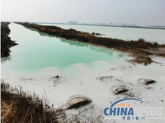 江苏连云港碱厂排污成湖 环保局被指监管失力 （图）
