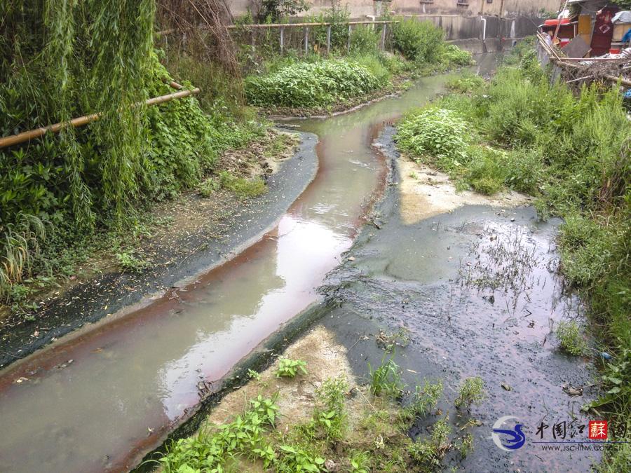 南京鼓楼一无名河污染严重 居民戏称“七彩河”(组图)