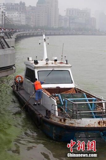 黄浦江垃圾漂浮数公里 环卫工8小时循环打捞