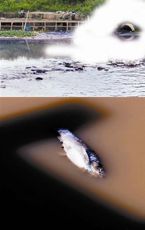 深圳：310条河流中173条黑脏臭 径流小是硬伤(图)