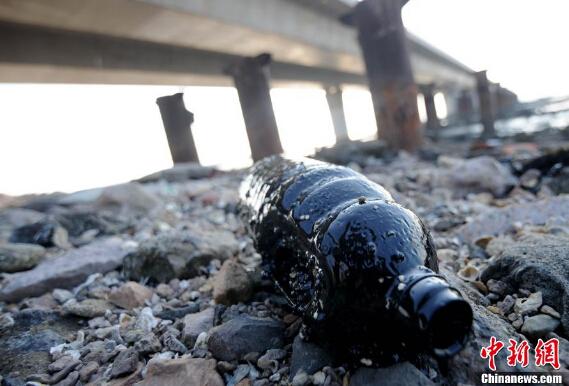 青岛胶州湾遭泄漏原油污染 漆黑“污染物”遍布海滩(组图)