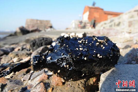青岛胶州湾遭泄漏原油污染 漆黑“污染物”遍布海滩(组图)