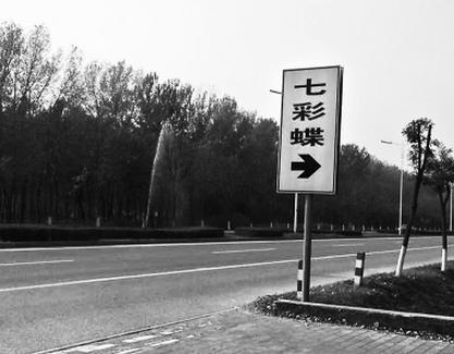 北京：白马路绿化带里冒喷泉（图）