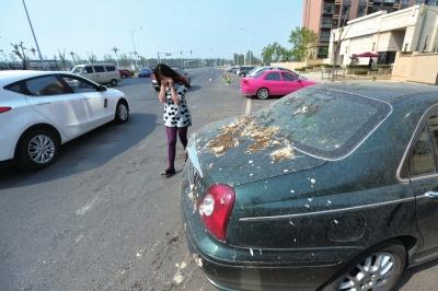 北京数十私家车停路边遭泼粪 业主称物业所为