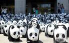 纸质熊猫军团现身首尔 目的为推广环保意识(图)