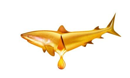 鱼肝油的功效与作用 什么时候吃最好?(图) - 健