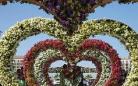 世界最大花园在迪拜：心脏型花坛 休闲度假去迪拜奇迹花园