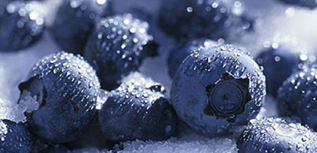 蓝莓的功效与作用 蓝莓营养价值蓝莓怎么吃最