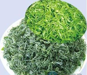 吃螺旋藻有减肥的作用吗