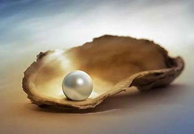 珍珠粉的功效与作用 珍珠粉怎么使用可以更美白