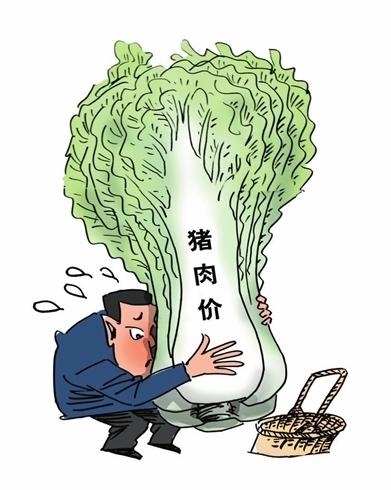 持续高温推涨菜价 南京部分叶菜涨幅超五成