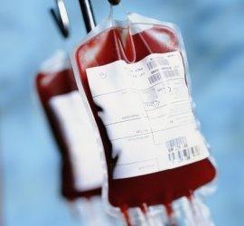 p型血赴天津救人 揭秘什么是P型血四大血型认