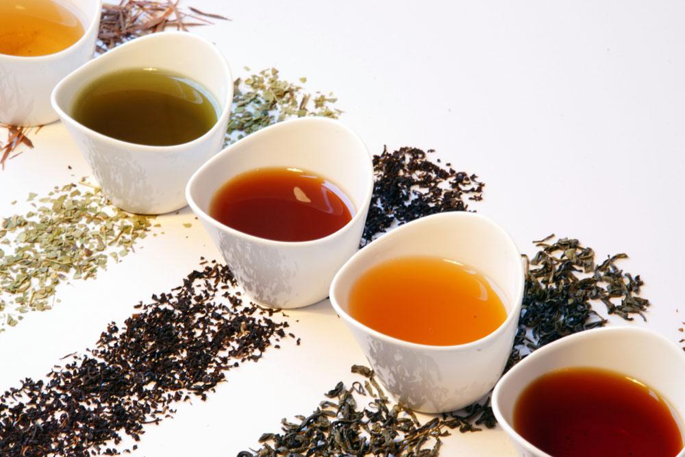 苦丁茶的功效与作用 苦丁茶能减肥吗怎么喝才