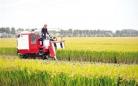 吴江：现代农业示范区迎来水稻丰收季 现已开始收割