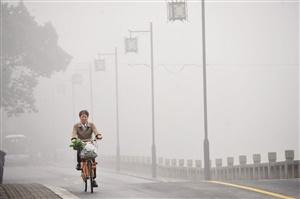 吴江：湿气大雾锁江城 出门戴好口罩