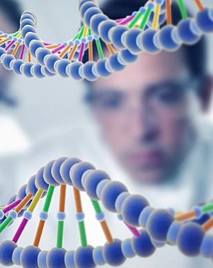 首位转基因人或在两年后出现 转基因人是什么