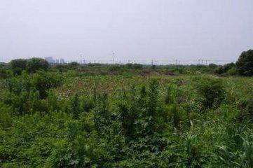 吴江：七都镇拆除污染企业复垦84亩土地