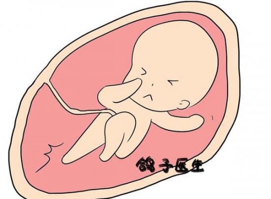 原来宝宝在肚子里的胎动是这样的，萌化了! - 健康资讯 - 中国网江苏