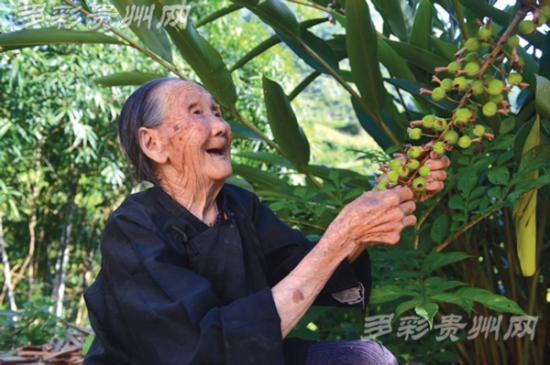 罗甸的长寿密码 成贵州第四个中国长寿之乡