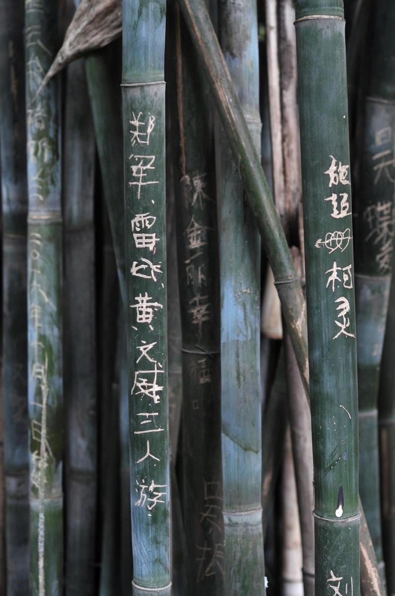 武汉动物园竹子遭游客大面积刻字