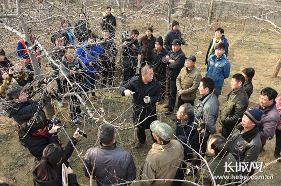 "太行新愚公"李保国10日凌晨突发心脏病去世