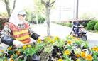 吴江：换种花卉 绿化城市