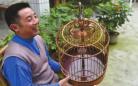 郫县“鸟笼之乡”最贵鸟笼卖3万 算面积超北京房价
