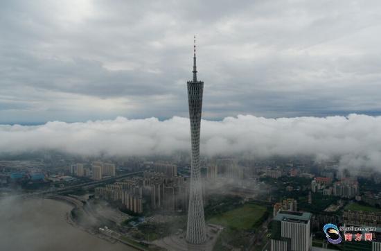 广州暴雨刷爆朋友圈 网友喊你看海(图集)